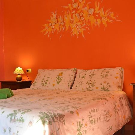 Agriturismo Nizzi Villa Assisi Eksteriør billede
