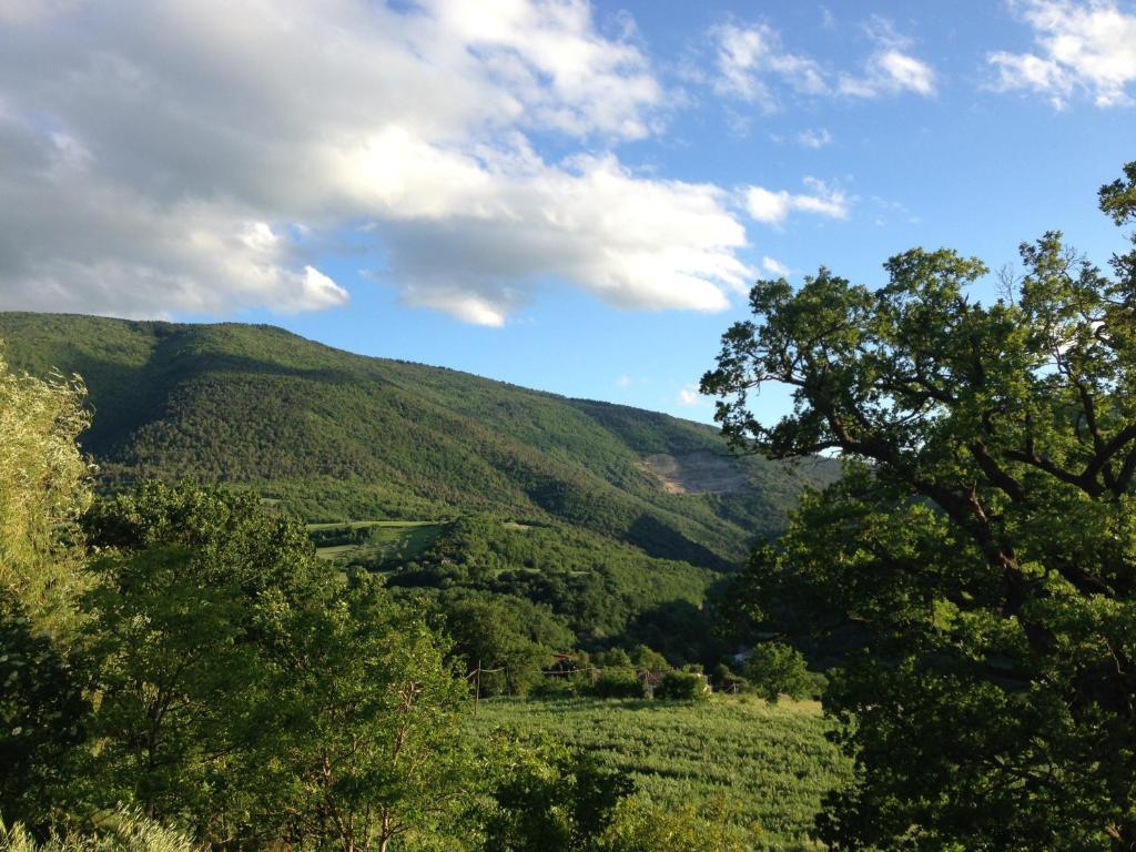 Agriturismo Nizzi Villa Assisi Eksteriør billede